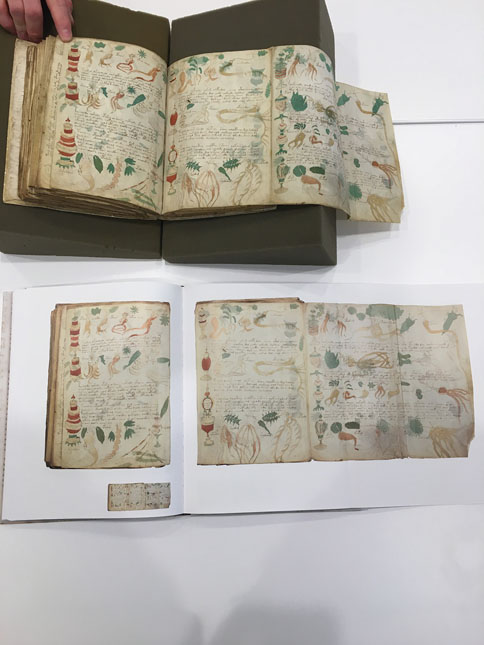 The Voynich Manuscript - Comparison