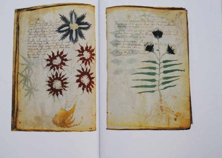 The Voynich Manuscript - Inside 2